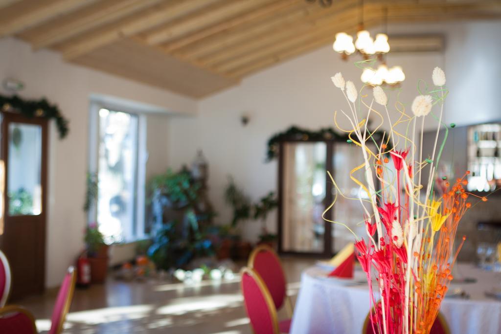 Pension Club Montana Campina Bagian luar foto
