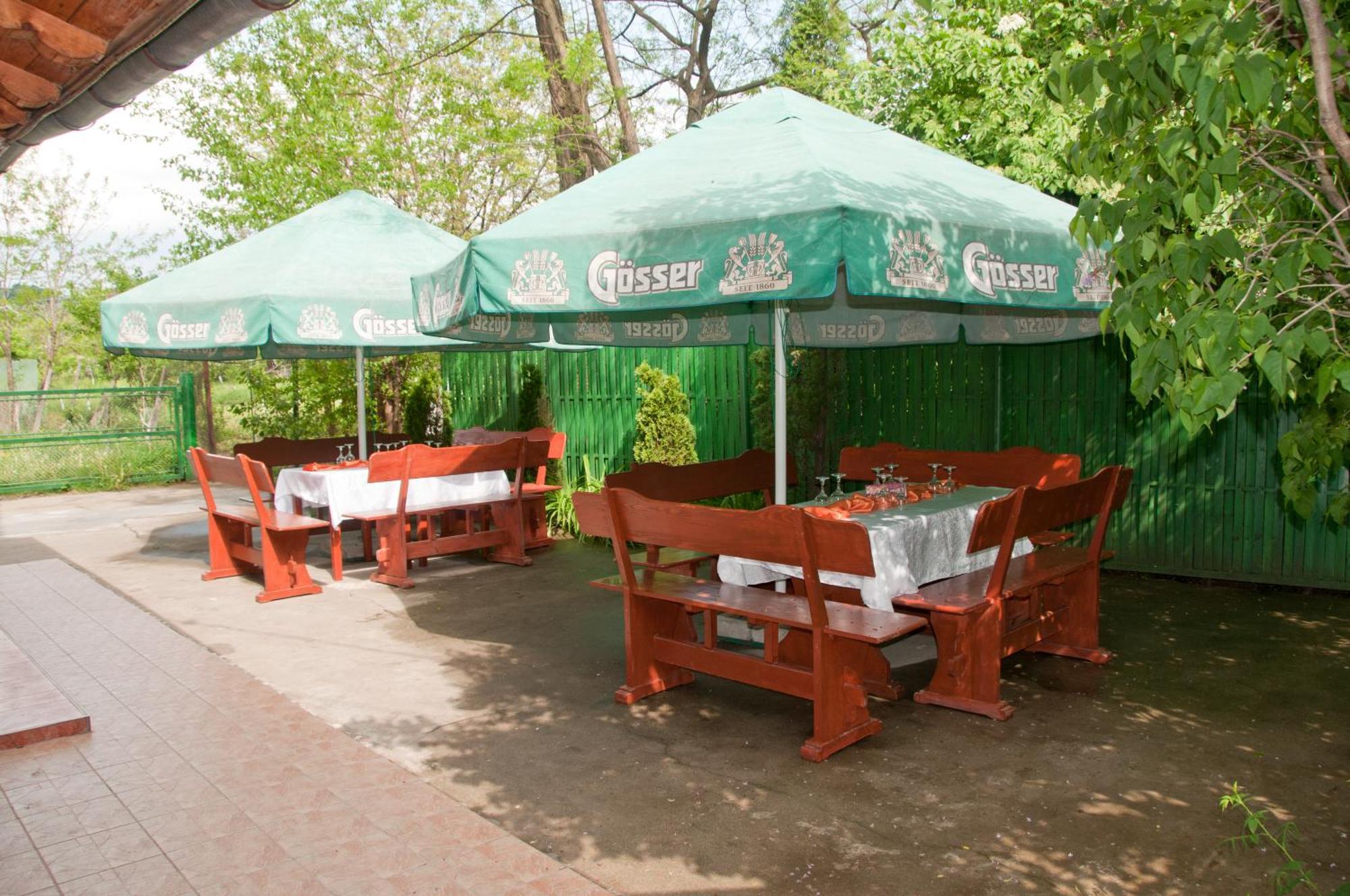 Pension Club Montana Campina Bagian luar foto