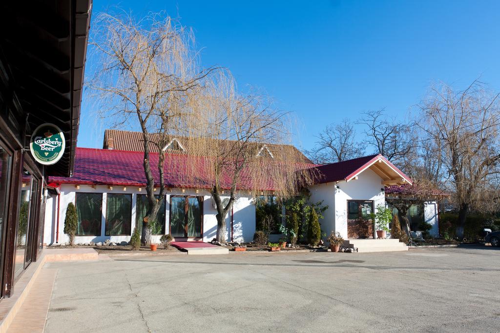 Pension Club Montana Campina Bagian luar foto
