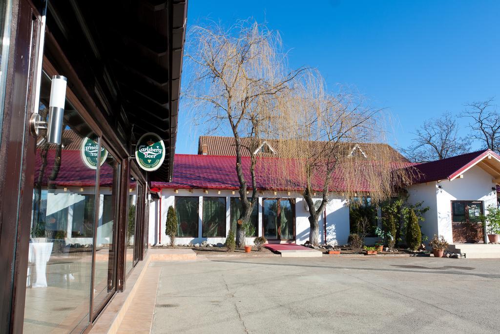 Pension Club Montana Campina Bagian luar foto