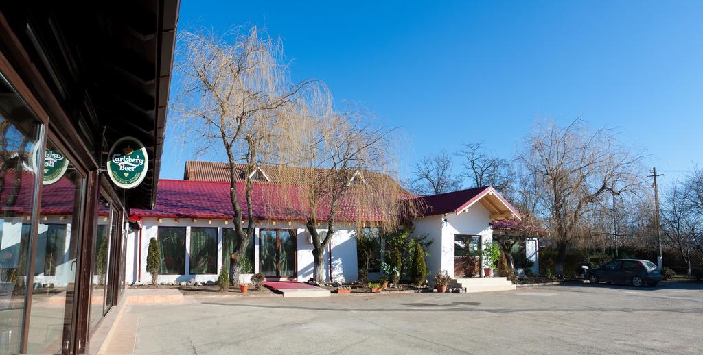 Pension Club Montana Campina Bagian luar foto