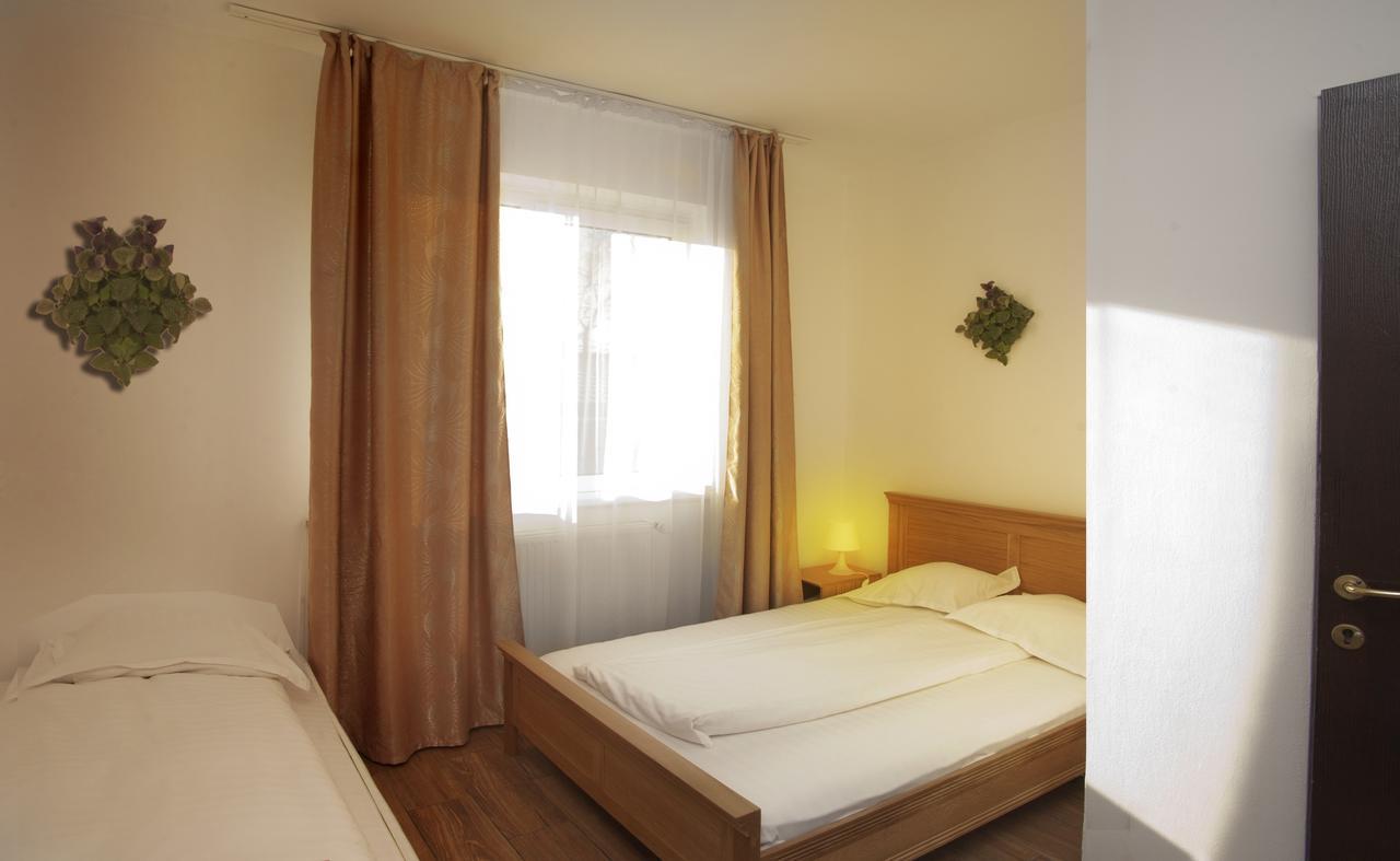 Pension Club Montana Campina Bagian luar foto