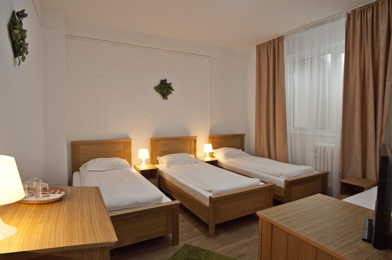 Pension Club Montana Campina Bagian luar foto
