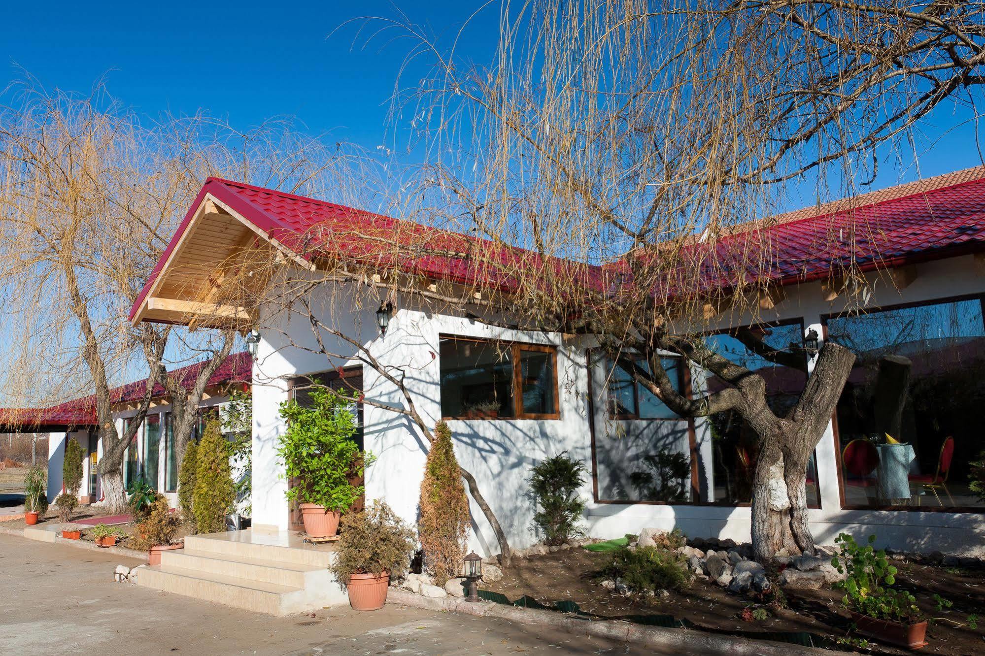 Pension Club Montana Campina Bagian luar foto